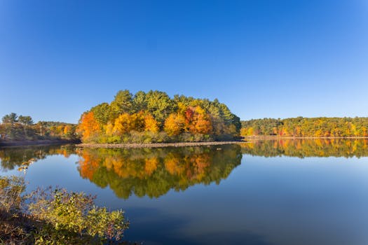 A peaceful outdoor scene perfect for journaling